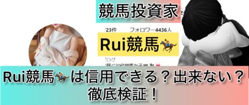 競馬,Rui,競馬女子,稼ぐ,稼げる,稼げない,口コミ,投資,競馬予想サイト,インフルエンサー,競馬投資家,競馬投資