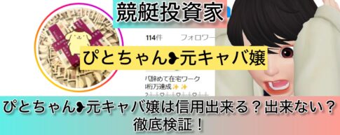 ぴとちゃん,競艇,,稼ぐ,稼げる,稼げない,口コミ,投資,競艇予想サイト,インフルエンサー