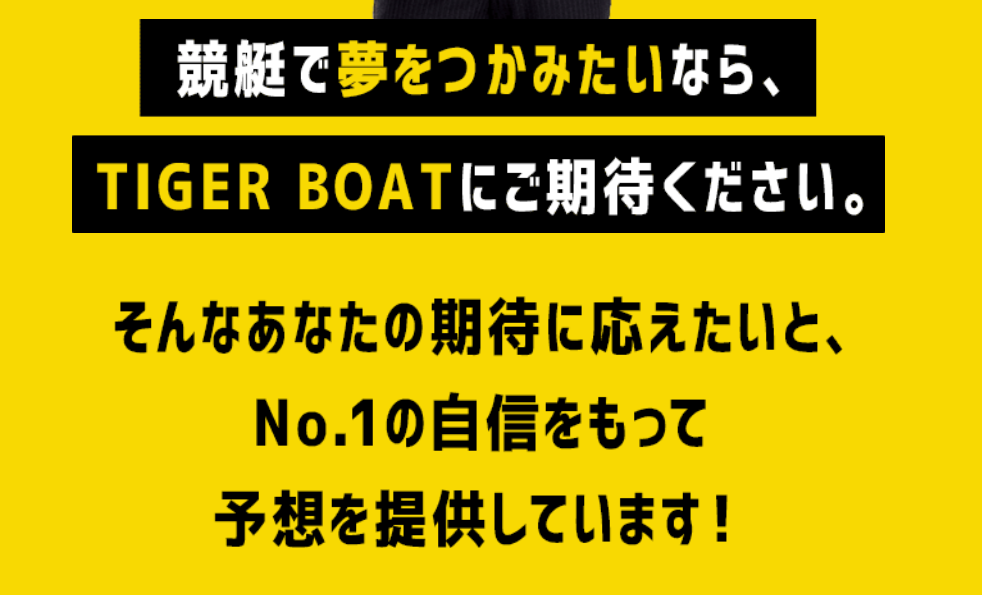 タイガーボート,TIGER BOAT,競艇,競艇投資,投資,稼ぐ,稼げない,稼ぎ方,リゼロ,ボート修羅,収支,口コミ,競艇予想サイト,予想サイト,優良,悪徳,悪質,儲かる,詐欺,