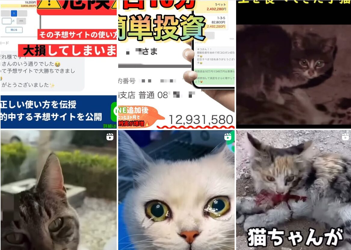 幸福の招きネコ@プロギャンブラー歴15年,招きネコ,まねき猫,,,競艇予想師,競艇,,稼ぐ,稼げる,稼げない,口コミ,投資,競艇予想サイト,インフルエンサー,競馬,競艇投資,競艇投資家,競艇予想,詐欺,