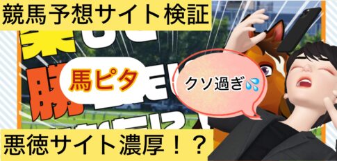 馬ピタ,,競馬,競馬予想,競馬予想サイト,競馬投資,競馬投資家,詐欺,口コミ,当たる,当たらない,稼げる,稼げない,検証,競馬殿下,蒼馬陛下,サイ馬馬,