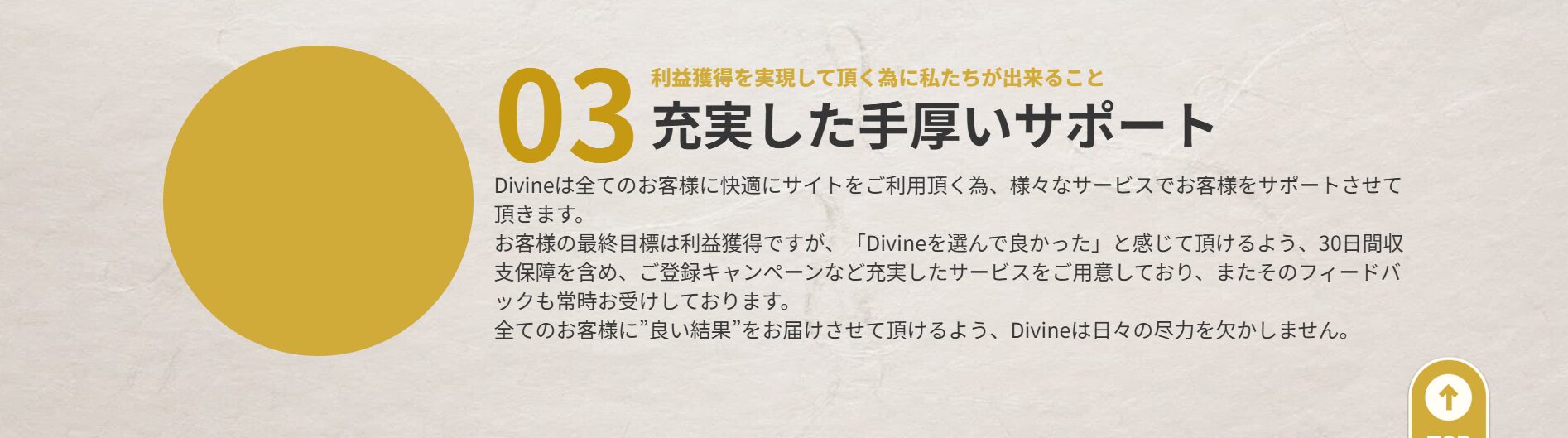 Divine,ディバイン,,,競馬,競馬予想,競馬予想サイト,競馬投資,競馬投資家,詐欺,口コミ,当たる,当たらない,稼げる,稼げない,検証,