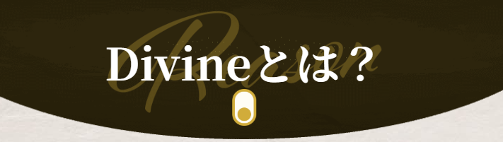 Divine,ディバイン,,,競馬,競馬予想,競馬予想サイト,競馬投資,競馬投資家,詐欺,口コミ,当たる,当たらない,稼げる,稼げない,検証,