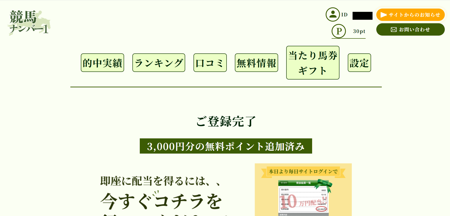 競馬ナンバー1,,競馬,競馬予想,競馬予想サイト,競馬投資,競馬投資家,詐欺,口コミ,当たる,当たらない,稼げる,稼げない,検証,