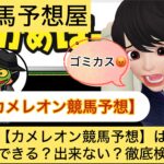カメレオン,,,競馬予想家,,,競馬,競馬予想,競馬予想サイト,競馬投資,競馬投資家,詐欺,口コミ,当たる,当たらない,稼げる,稼げない,検証,