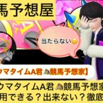 ウマタイムA君,,,競馬予想家,,,競馬,競馬予想,競馬予想サイト,競馬投資,競馬投資家,詐欺,口コミ,当たる,当たらない,稼げる,稼げない,検証,