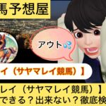 レイ,サヤマレイ,競馬予想家,,競馬,競馬予想,競馬予想サイト,競馬投資,競馬投資家,詐欺,口コミ,当たる,当たらない,稼げる,稼げない,検証,