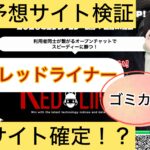 競馬レッドライナー,競馬RED LINER,,,競馬,競馬予想,競馬予想サイト,競馬投資,競馬投資家,詐欺,口コミ,当たる,当たらない,稼げる,稼げない,検証,