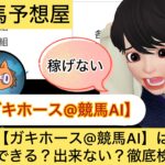 ガキホース,競馬AI,,,,競馬,競馬予想,競馬予想サイト,競馬投資,競馬投資家,詐欺,口コミ,当たる,当たらない,稼げる,稼げない,検証,