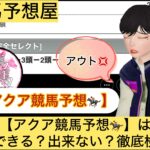 アクア,,,競馬予想家,,,,,競馬,競馬予想,競馬予想サイト,競馬投資,競馬投資家,詐欺,口コミ,当たる,当たらない,稼げる,稼げない,検証,